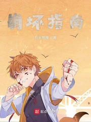  崩坏指南
