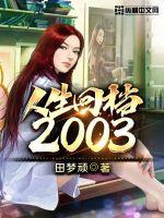 人生回档2003